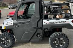 Ranger-Dog-1